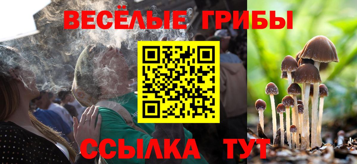 Псилоцибиновые грибы Psilocybe Ивантеевка